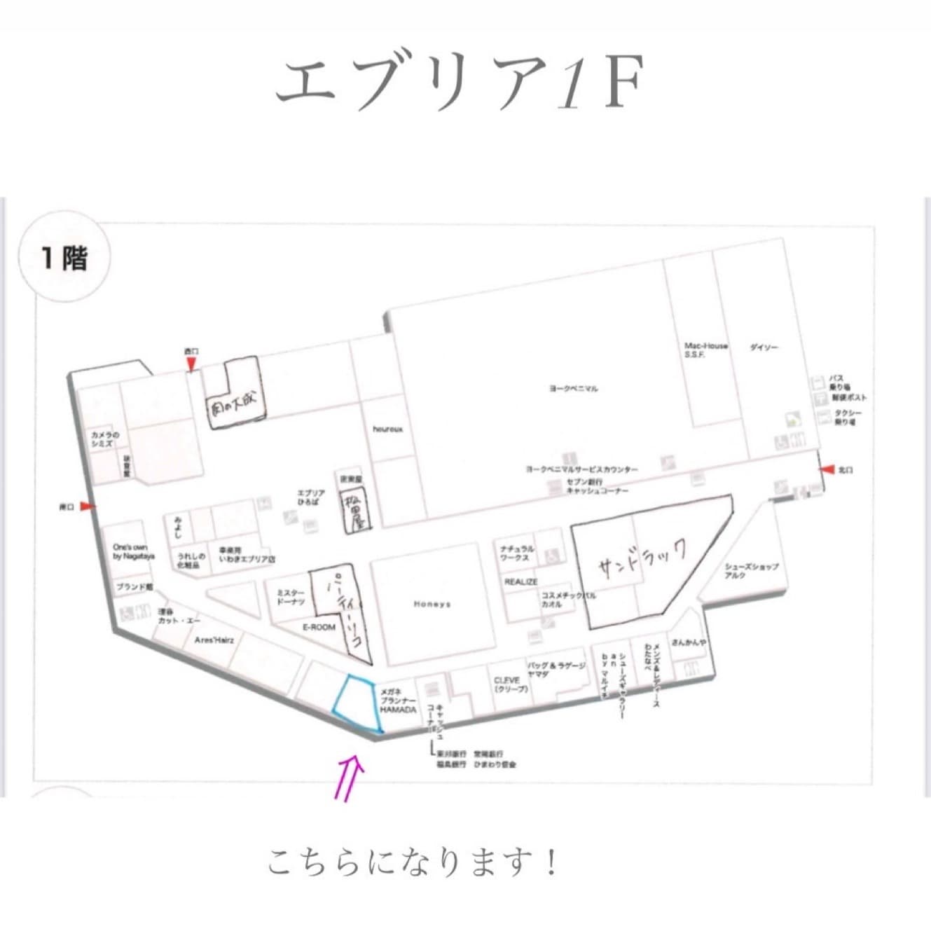 🫧施術体験会(出展場所)のお知らせ🫧